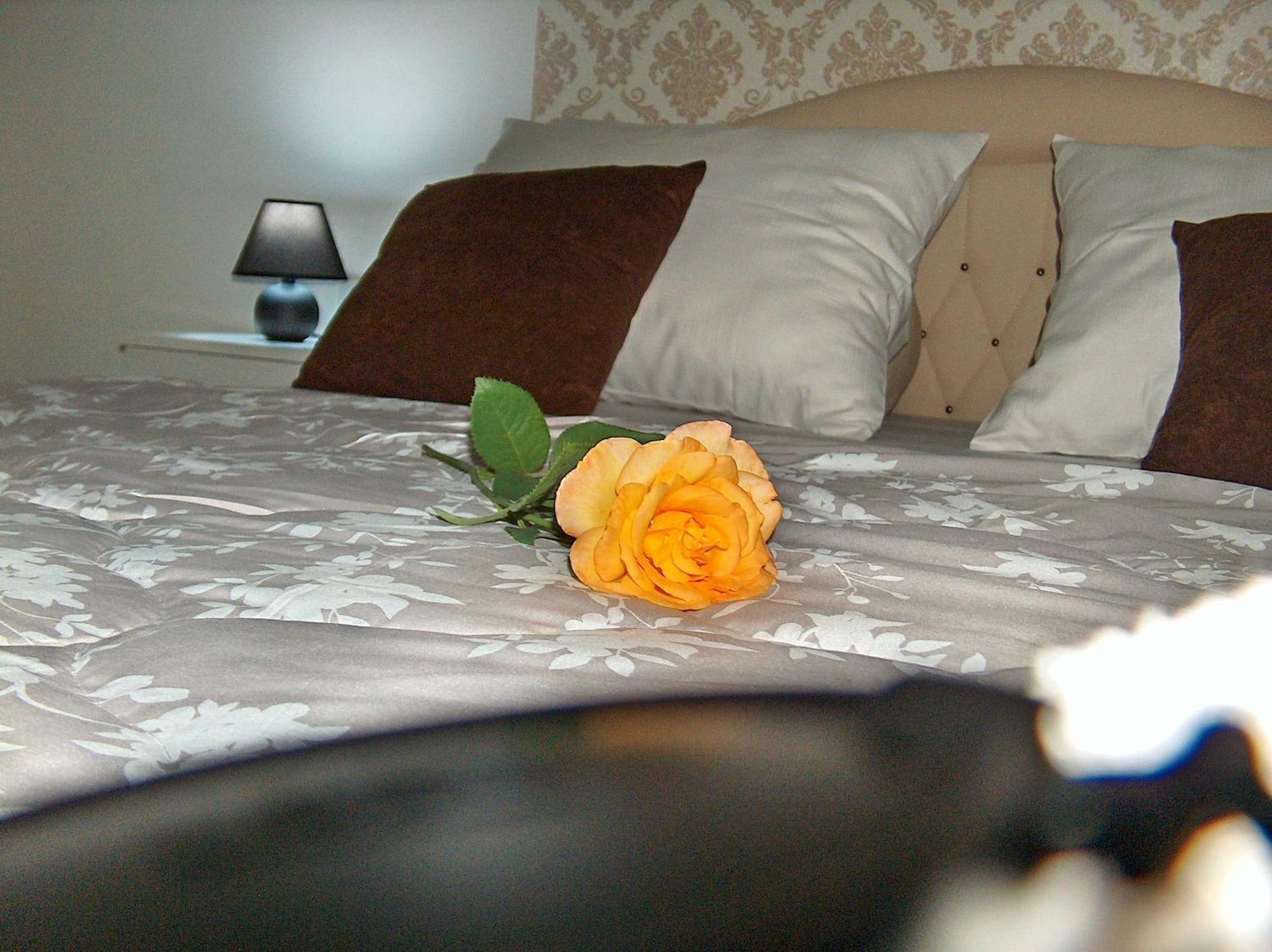 Apartmán Happy Star Ni Exteriér fotografie