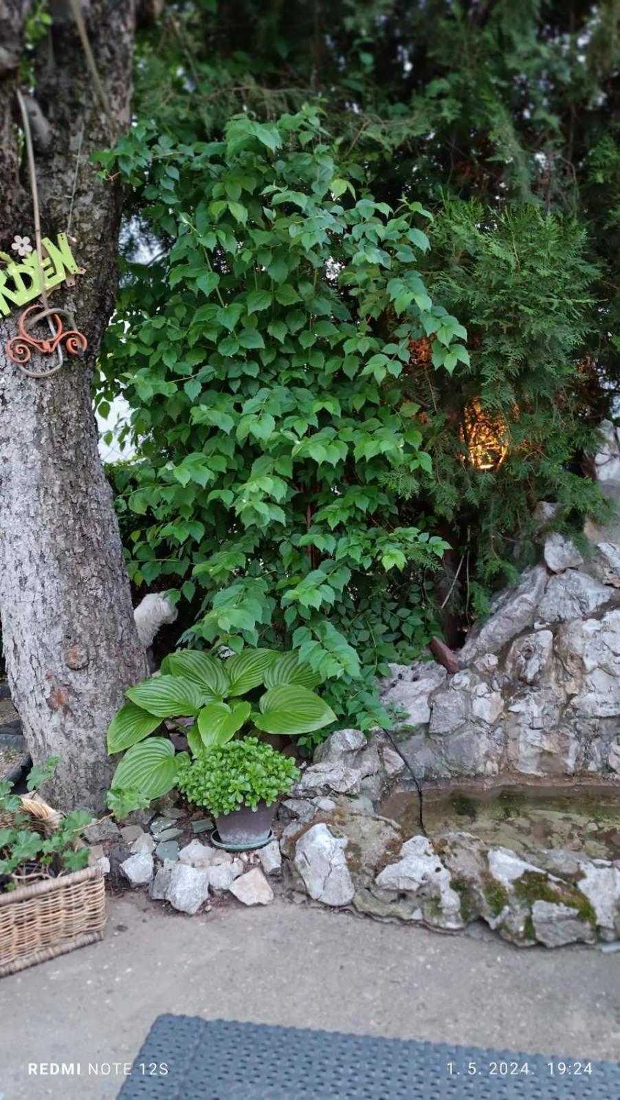 Apartmán Happy Star Ni Exteriér fotografie